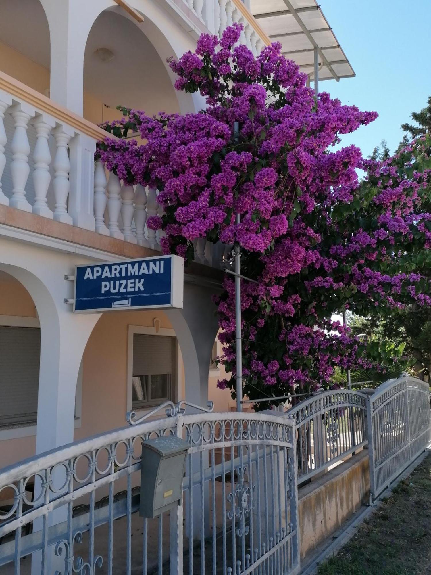 Apartmani Puzek Bibinje Εξωτερικό φωτογραφία